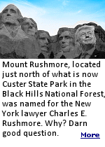 Mount Rushmore, located just north of what is now Custer State Park in the Black Hills National Forest, was named for the New York lawyer Charles E. Rushmore, who traveled to the Black Hills in 1885 to inspect mining claims in the region. When Rushmore asked a local man the name of a nearby mountain, he reportedly replied that it never had a name before, but from now on would be known as Rushmore Peak.